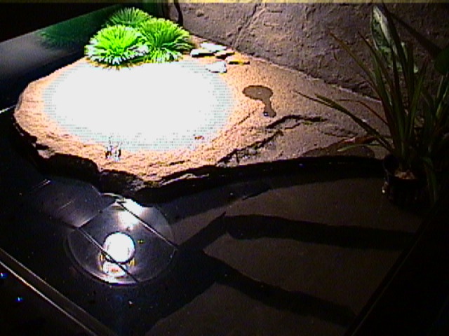 RES basking rock