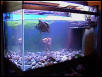 RES tank #2