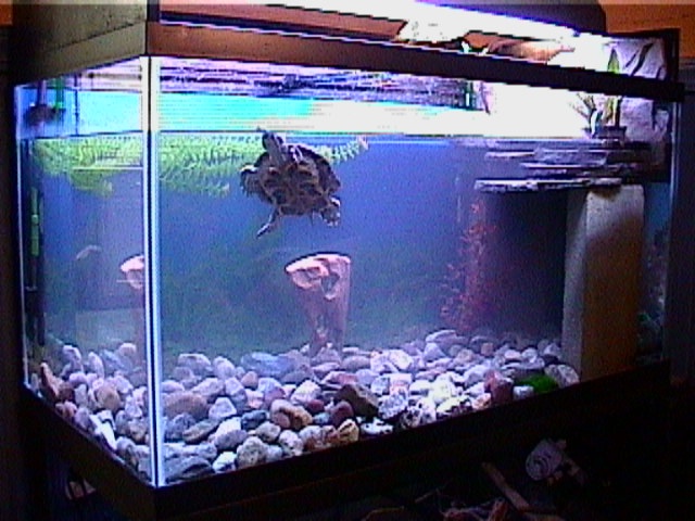 RES tank #2
