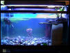 RES tank #1