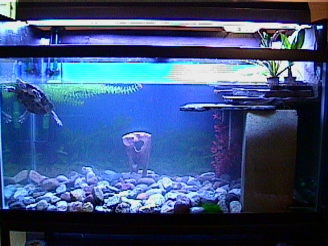RES tank #1