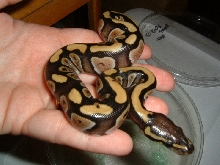 pics #2