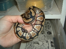 Updated pics 2