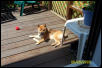 max at 6 months, sunbathing