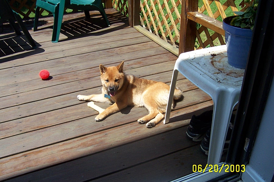 max at 6 months, sunbathing