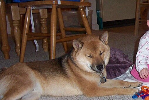 maximus