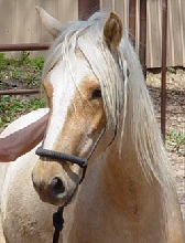 Blanca