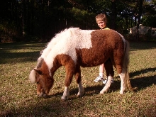 Jeffrey & Apache