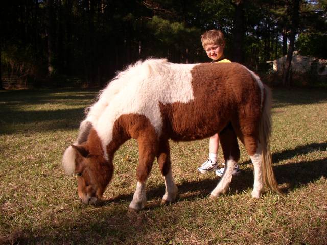 Jeffrey & Apache