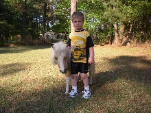 Jeffrey & Windy