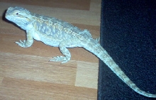 Betsie Posing