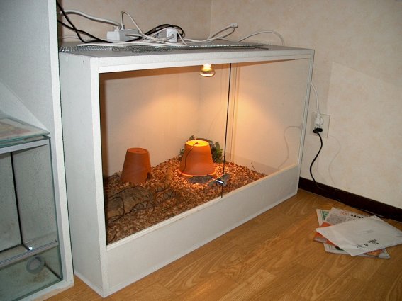 Copperhead Cage