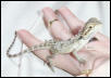 Peanut Shedding