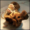 Midori N Peanut