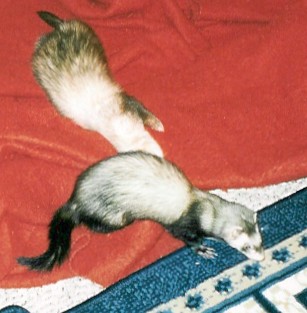 Holly & Maggie