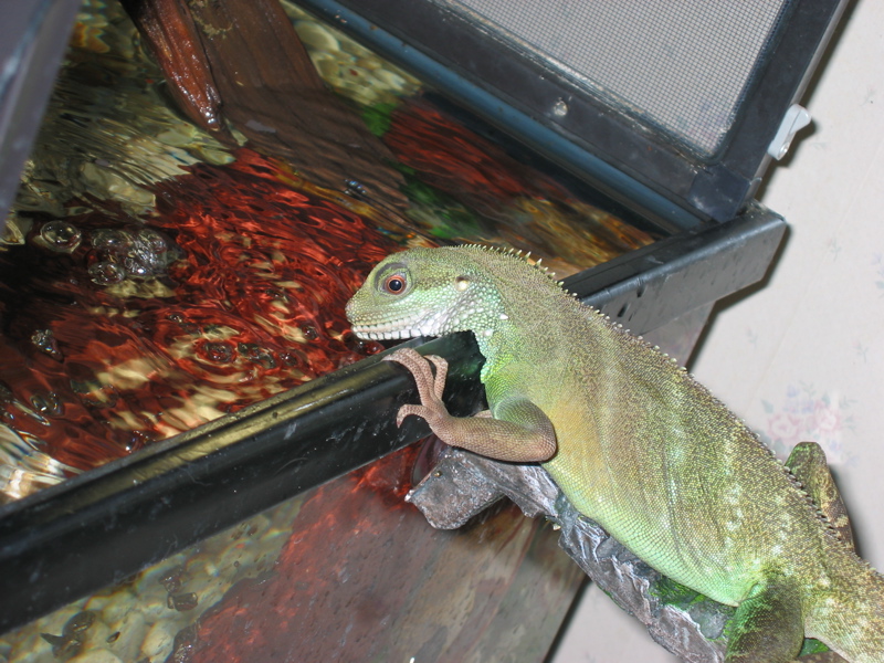 Thirsty!