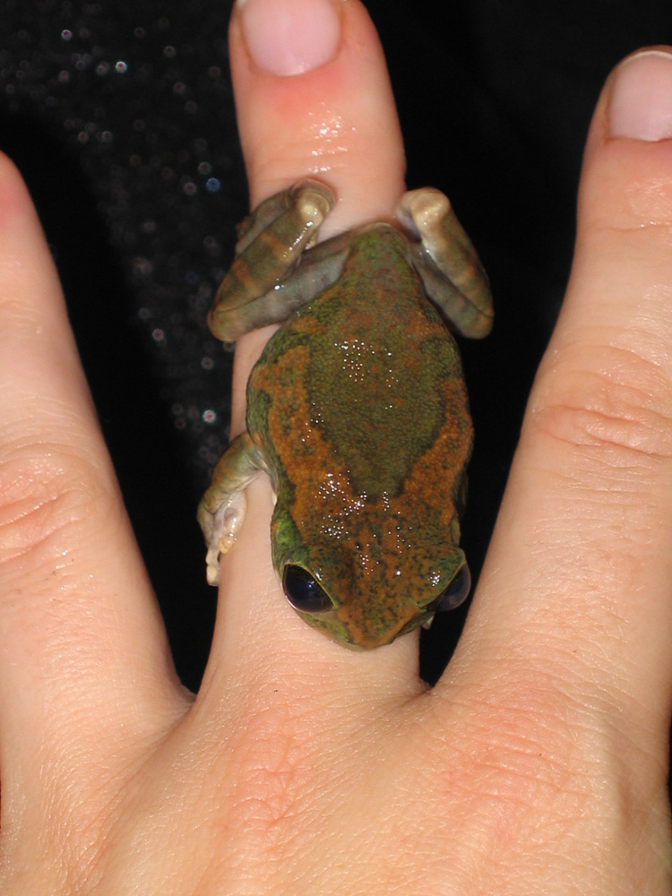 Yes, I will marry you!