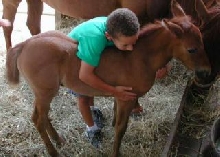 Daniel and Princess