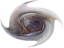 Eye fun