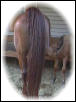 This is Flaxen....???
