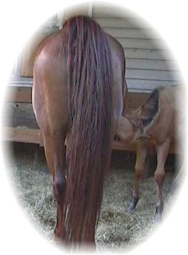 This is Flaxen....???