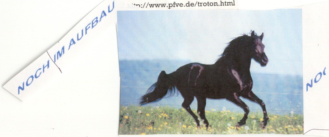 Noch