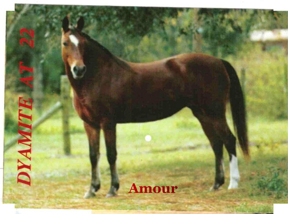 Amour que tal