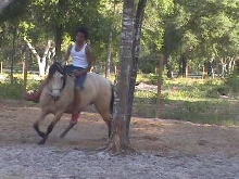 Training who