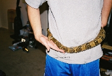 bci belt
