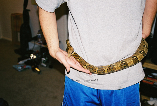 bci belt