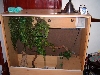poss boa tank