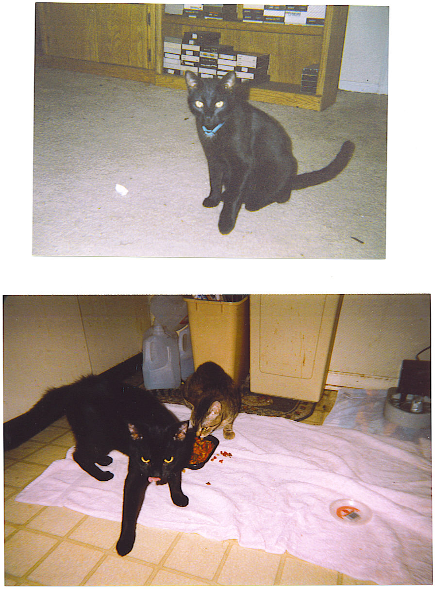 Daryl, Strawberry, and Mini-me