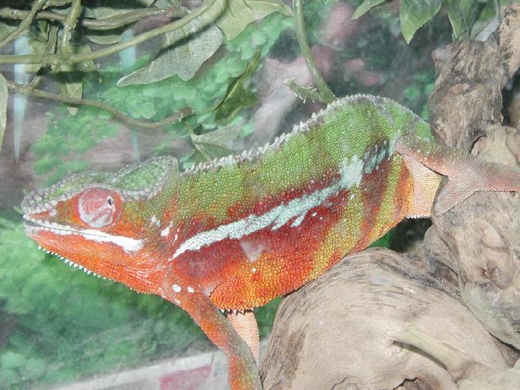 Another one of Zues