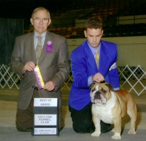 MyToyBulldogs Ch Bandit