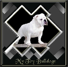 MyToyBulldogs