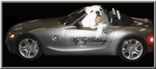 MyToyBulldogs