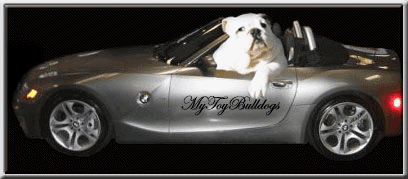 MyToyBulldogs