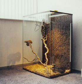 full glas terrarium