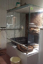 boa terrarium