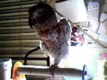 Meko May 5, 2003