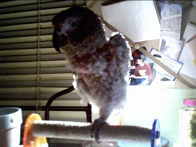 Meko May 5, 2003
