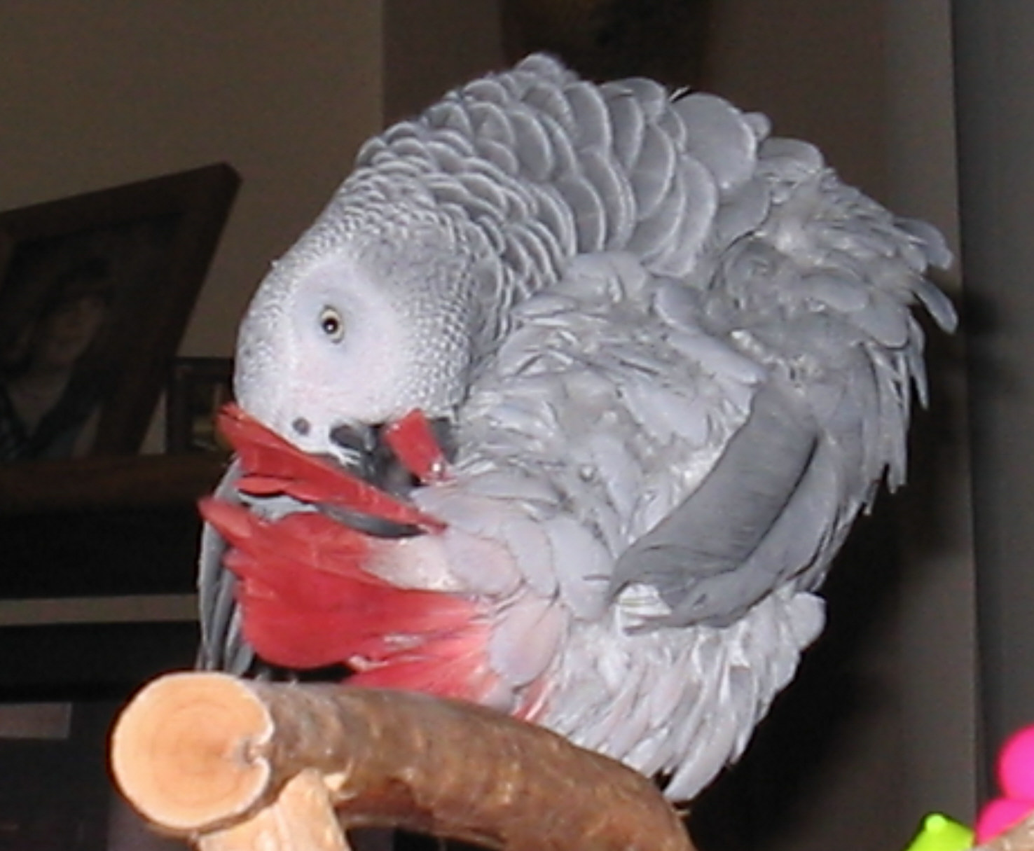Meko Now