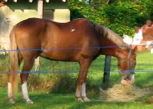 Flash's first day here