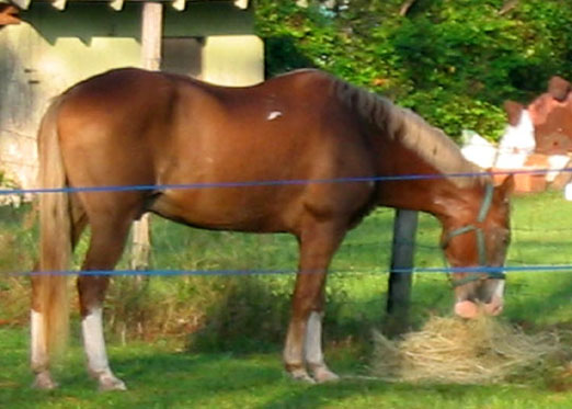 Flash's first day here