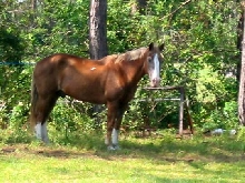 Flash Hanging out