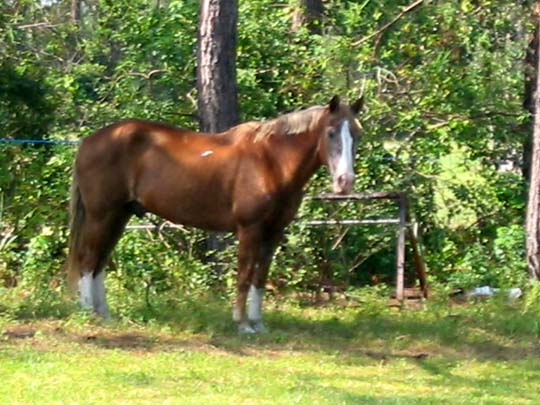 Flash Hanging out