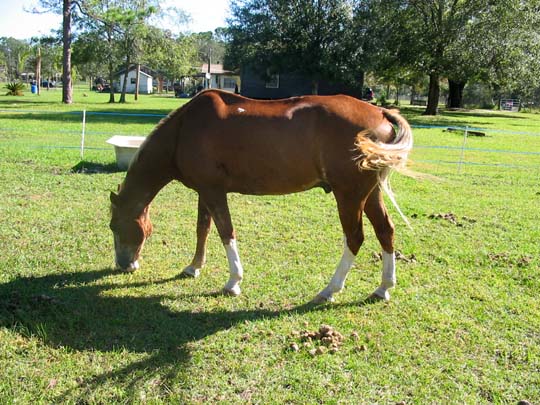 Flash after 1 1/2 weeks here