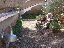 Outdoor Chuckwalla enclosure (inside)