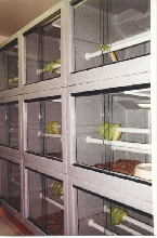 GTP Breeder Cages