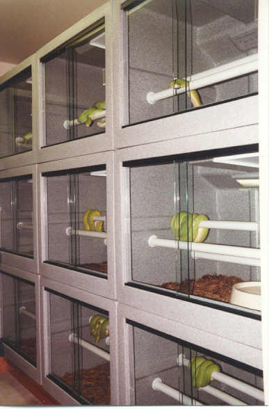 GTP Breeder Cages